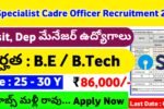 SBI Specialist Cadre Officer Recruitment 2024: Job Description, Qualifications, Application Process, and Selection Procedure