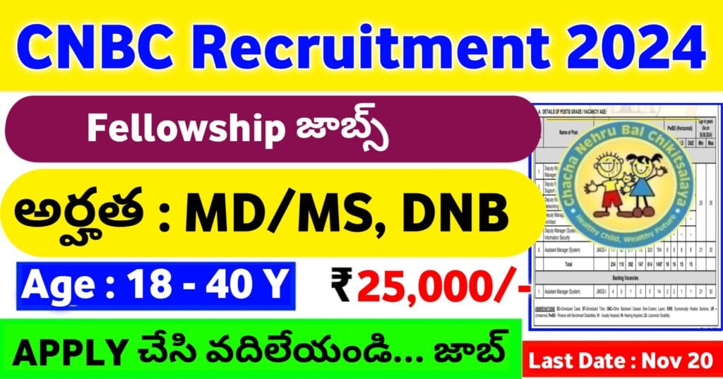 Interview for Chacha Nehru Bal Chikitsalya Fellowship Jobs 2024